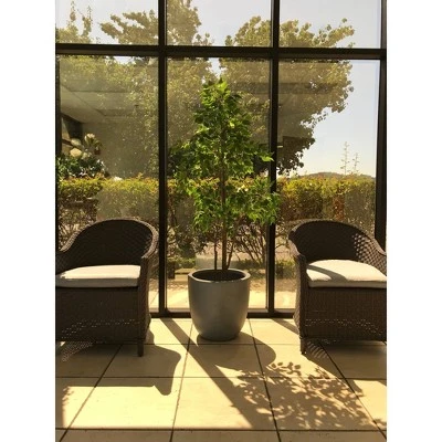 17" Kante Lightweight Concrete Modern Seamless Outdoor Planter Gray - Rosemead Home & Garden, Inc. - Image 4