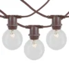 Novelty Lights Globe Outdoor String Lights With 25 In-Line Sockets Brown Wire 25 Feet
