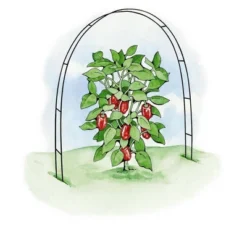 Gardeners Supply Company Garden Hoops Grow Tunnel Support | Greenhouse Raised Garden Bed Fabric Row Cover Arch Frame, Garden Stakes For Plants &