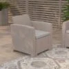 Merrick Lane Outdoor Furniture Resin Chair Faux Rattan Wicker Pattern Patio Chair With All-Weather Cushion